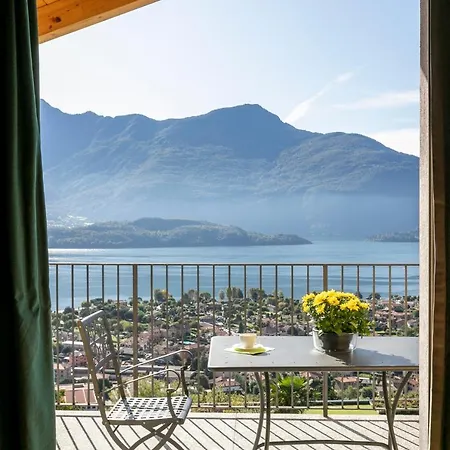 La Collina Degli Ulivi Apartman *