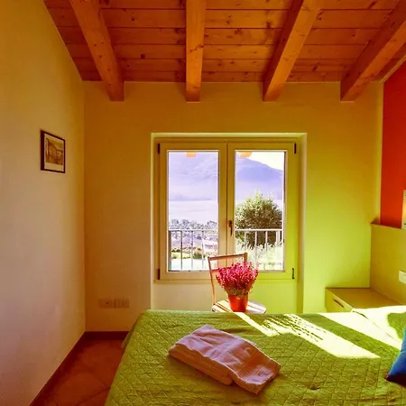 La Collina Degli Ulivi Apartman *