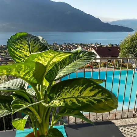 公寓 La Collina Degli Ulivi Vercana